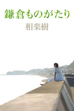 宠物小精灵剧场版2012